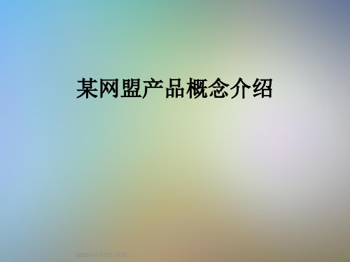 某网盟产品概念介绍