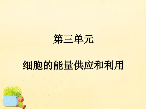 高考生物一轮复习-第三单元 细胞的能量供应和利用 第1讲 酶与ATP课件(必修1)
