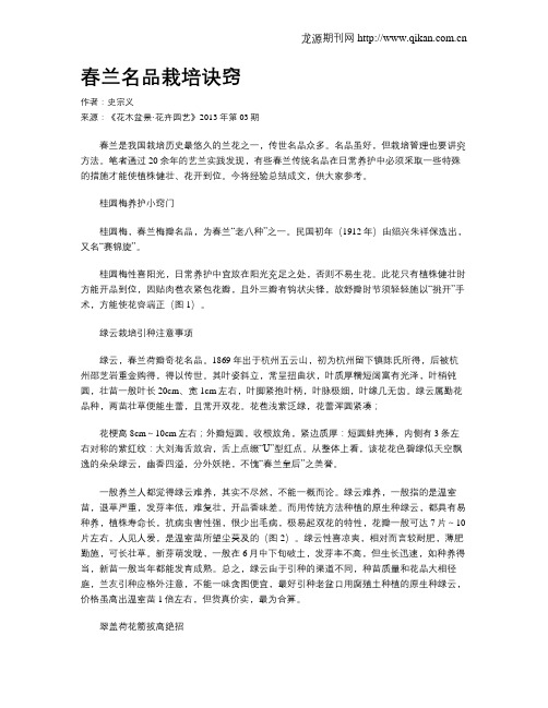 春兰名品栽培诀窍