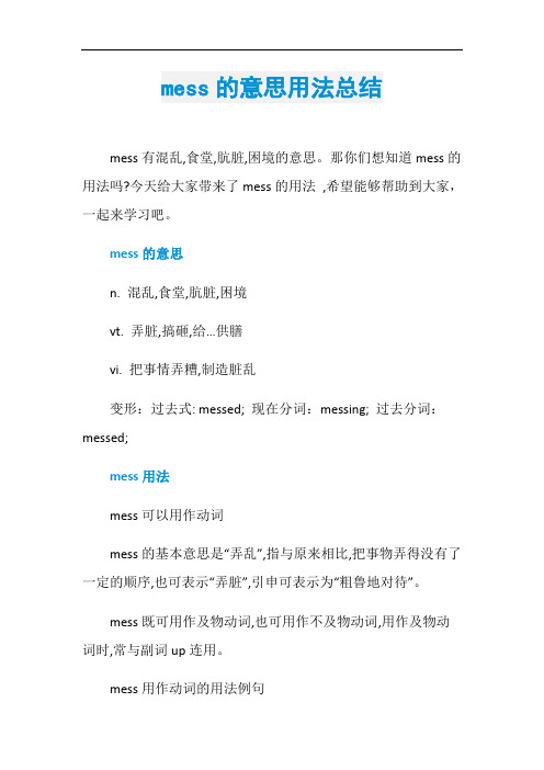 mess的意思用法总结