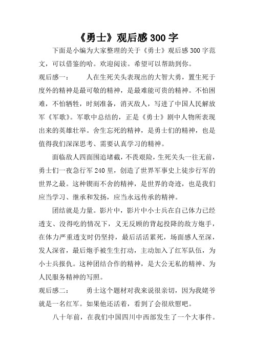 《勇士》观后感300字