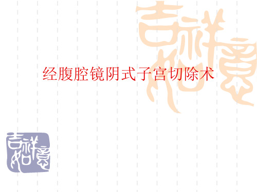 经腹腔镜阴式子宫切除术ppt课件