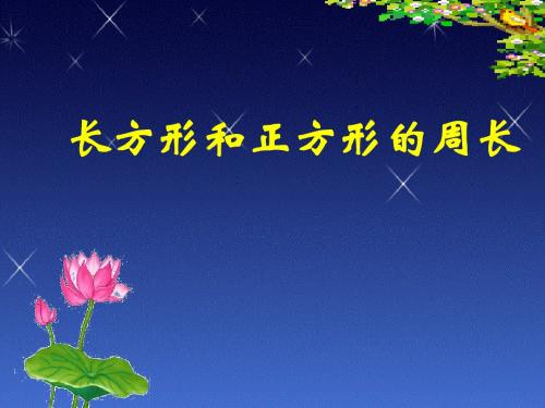 人教版小学数学三年级上册长方形和正方形周长的计算- 17页PPT文档