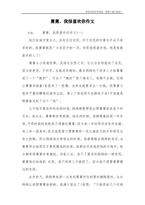 舅舅,我很喜欢你作文