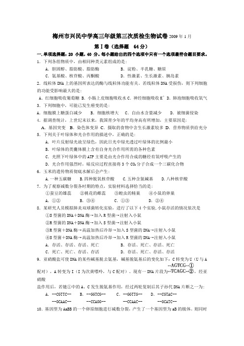 梅州市兴民中学高三年级第三次质检生物试卷2009年1月