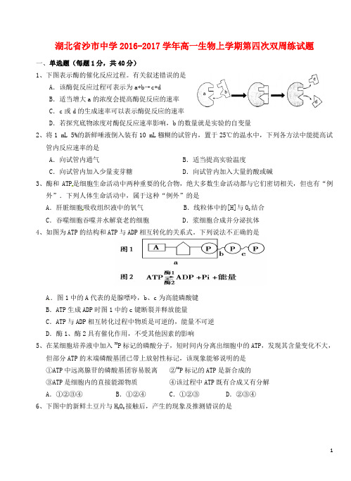 湖北省沙市中学高一生物上学期第四次双周练试题