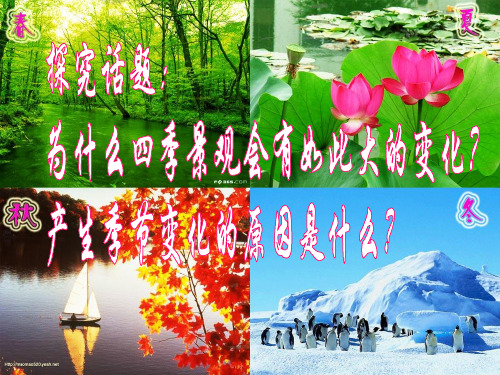 地球的运动公转(1)