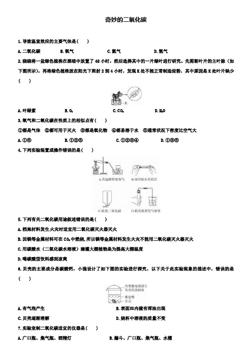 沪教版九年级化学全册 2.2 奇妙的二氧化碳同步练习