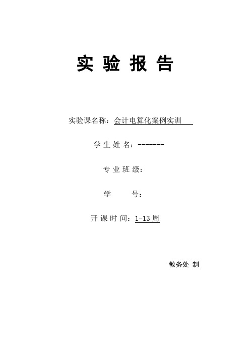 会计电算化实训实验报告