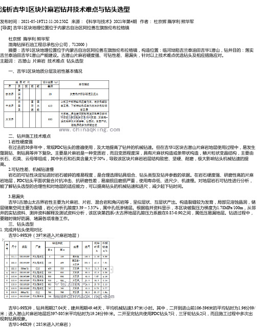 浅析吉华1区块片麻岩钻井技术难点与钻头选型