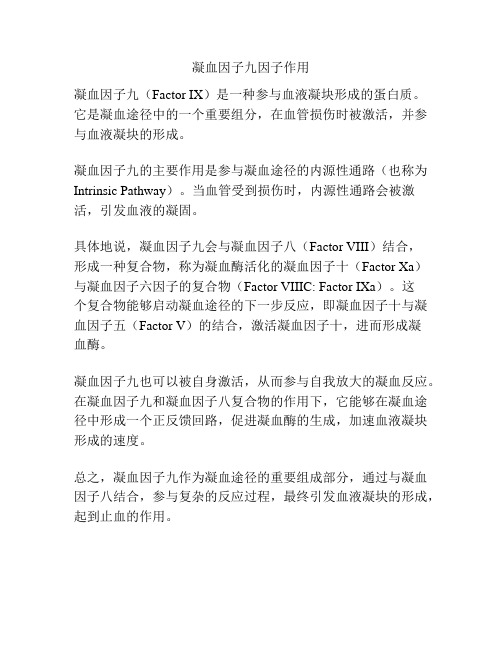 凝血因子九因子作用
