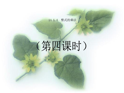 人教版八年级上册第十四章《整式的乘法和因式分解》14.1.4 整式的乘法第四课时课件(19张PPT)