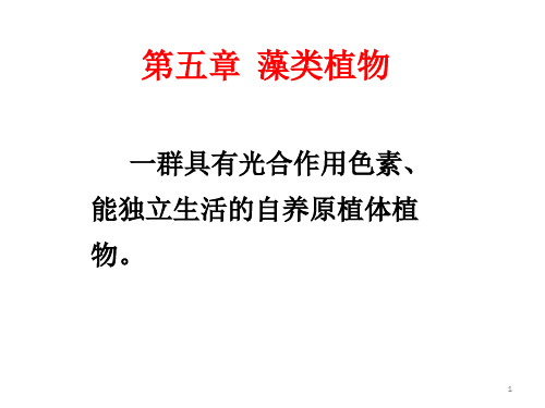 高中生物竞赛藻类植物课件 (1)