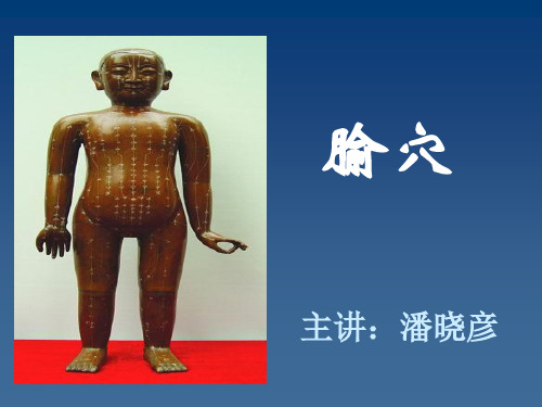 腧穴(西学中)