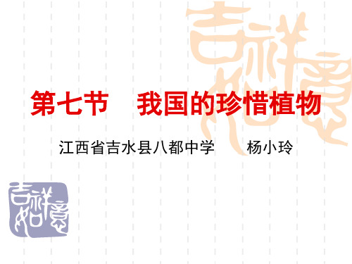 第十节我国的珍稀动物课件初中生物冀少儿2011课标版七年级上册课件
