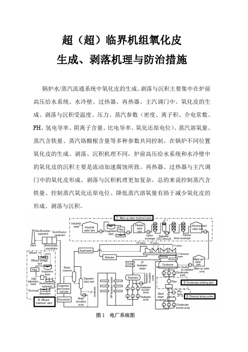 超(超)临界机组氧化皮生成、剥落机理与防治措施