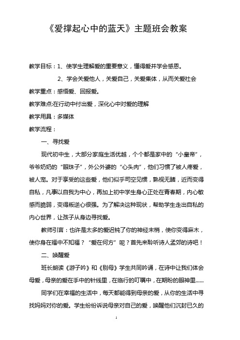 《爱撑起心中的蓝天》主题班会教案