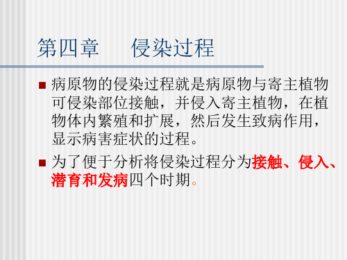 第四章  侵染过程