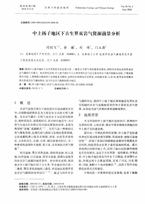 中上扬子地区下古生界页岩气资源前景分析