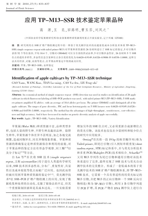 应用TP_M13_SSR技术鉴定苹果品种