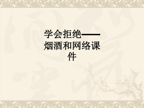 学会拒绝——烟酒和网络ppt课件