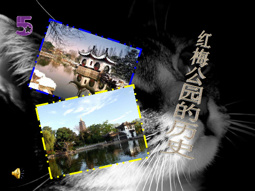红梅公园的历史