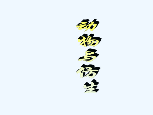 动物与仿生