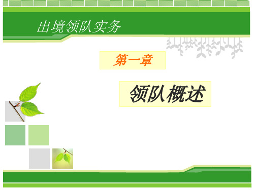 (导游出境领队实务)第一章领队概述