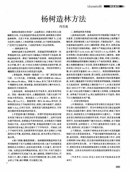 杨树造林方法