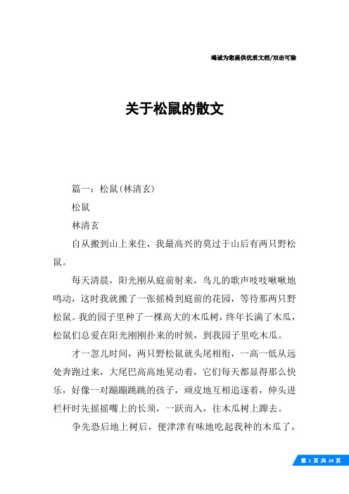 关于松鼠的散文