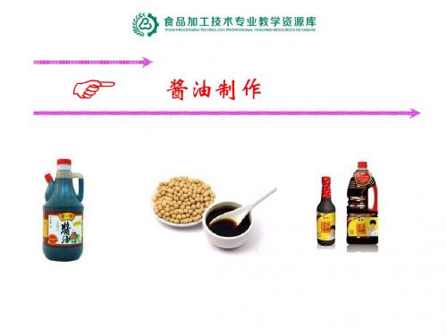酱油制作(精)