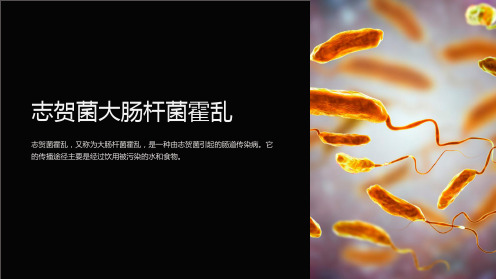 志贺菌大肠杆菌霍乱