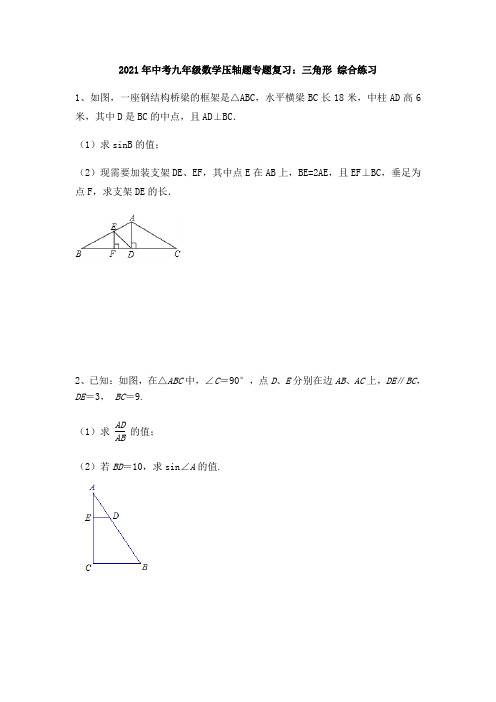 2021年中考九年级数学压轴题专题复习：三角形 综合练习(无答案)