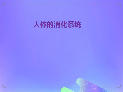 七年级生物下册第四单元生物圈中的人第九章人的食物来自环境第二节人体的消化与吸收课件3(新版)苏教版