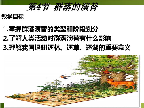 高中生物《群落的演替》课件人教版1