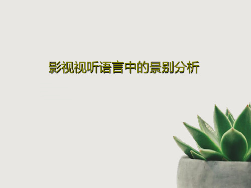 影视视听语言中的景别分析共53页
