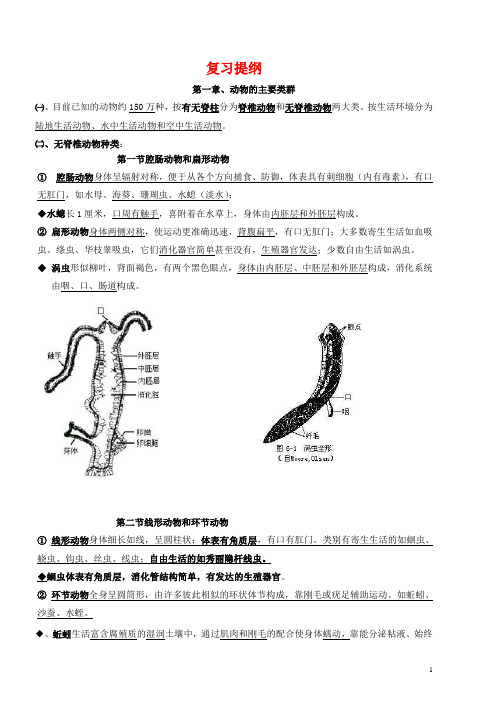 人教版八年级生物上册期末复习提纲附有图片