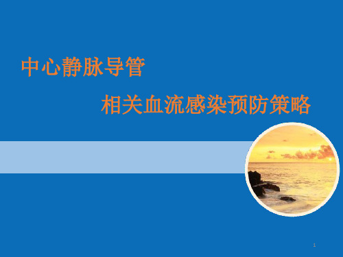 中心静脉导管相关血流感染预防策略PPT精选文档