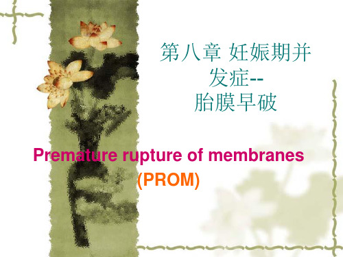 第十章--分娩期并发症妇女的护理