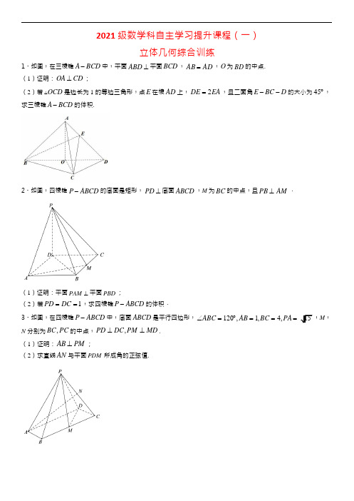 2021级人教版数学科目+立体几何综合训练(一)