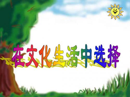 高中思想政治必修3 文化生活 8.2 在文化生活中选择