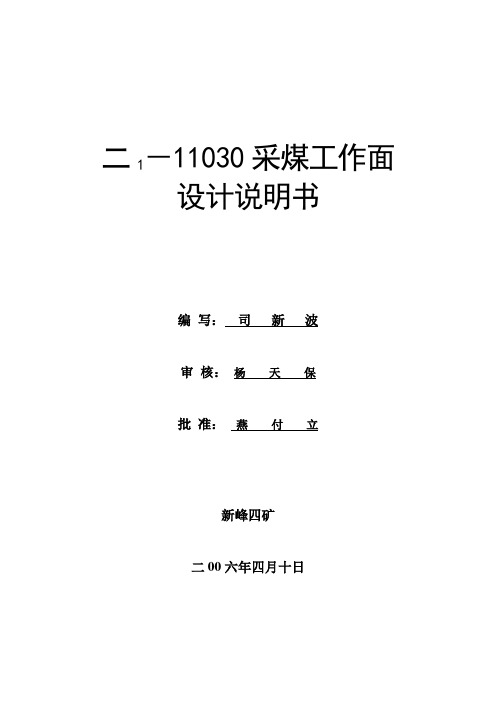 11030设计说明(1)