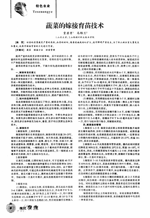 蔬菜的嫁接育苗技术