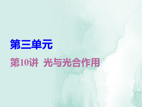 高三生物一轮复习精品课件3：第10讲 光与光合作用