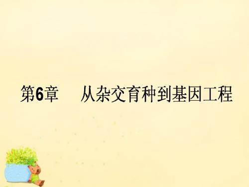 【师说】2017届高考生物一轮复习 第6章 从杂交育种到基因工程课件 新人教版必修2