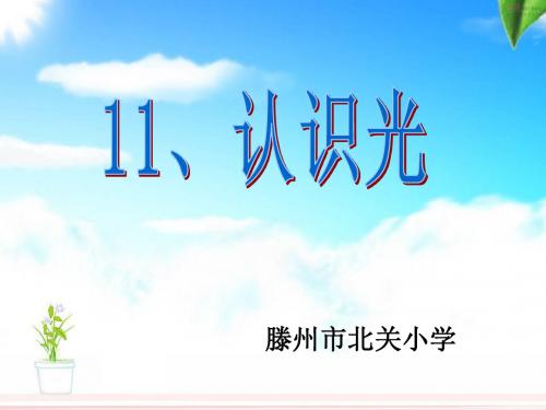 11.认识光