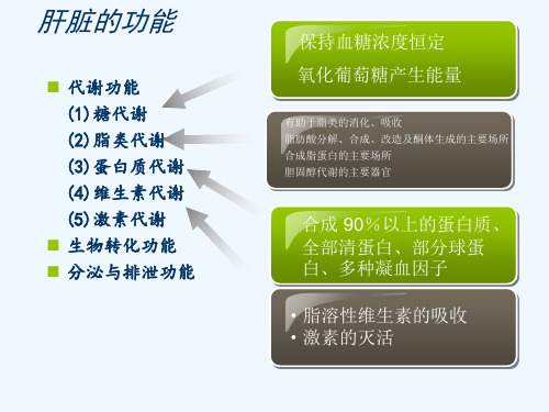 常用保肝药分类及应用