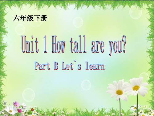 人教PEP六年级下册英语课件Unit 1  How tall are you