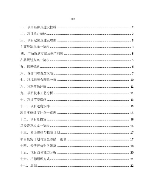 碳纤维项目财政资金申请报告(1)