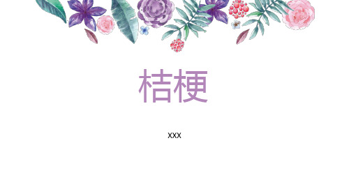 药用植物资源学中药材调查-桔梗